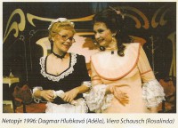 /album/fotogalerie/netopyr-rosalinda-ostrava-1996-s-d-hlubkovou-jpg/